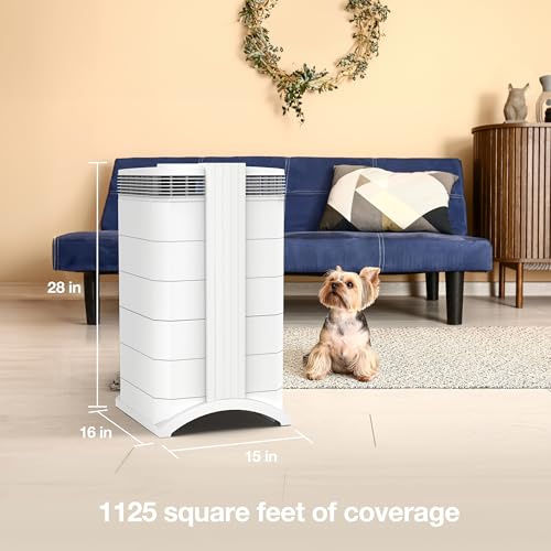 Compact Air Purifier with HyperHEPA Filtration P114