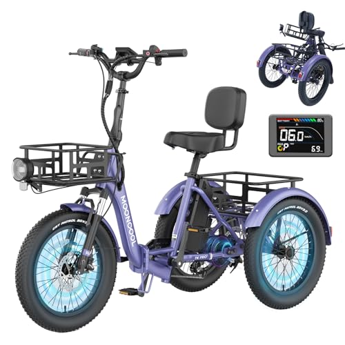 Folding Electric Tricycle with Aluminum Frame and Removable Battery B2061
