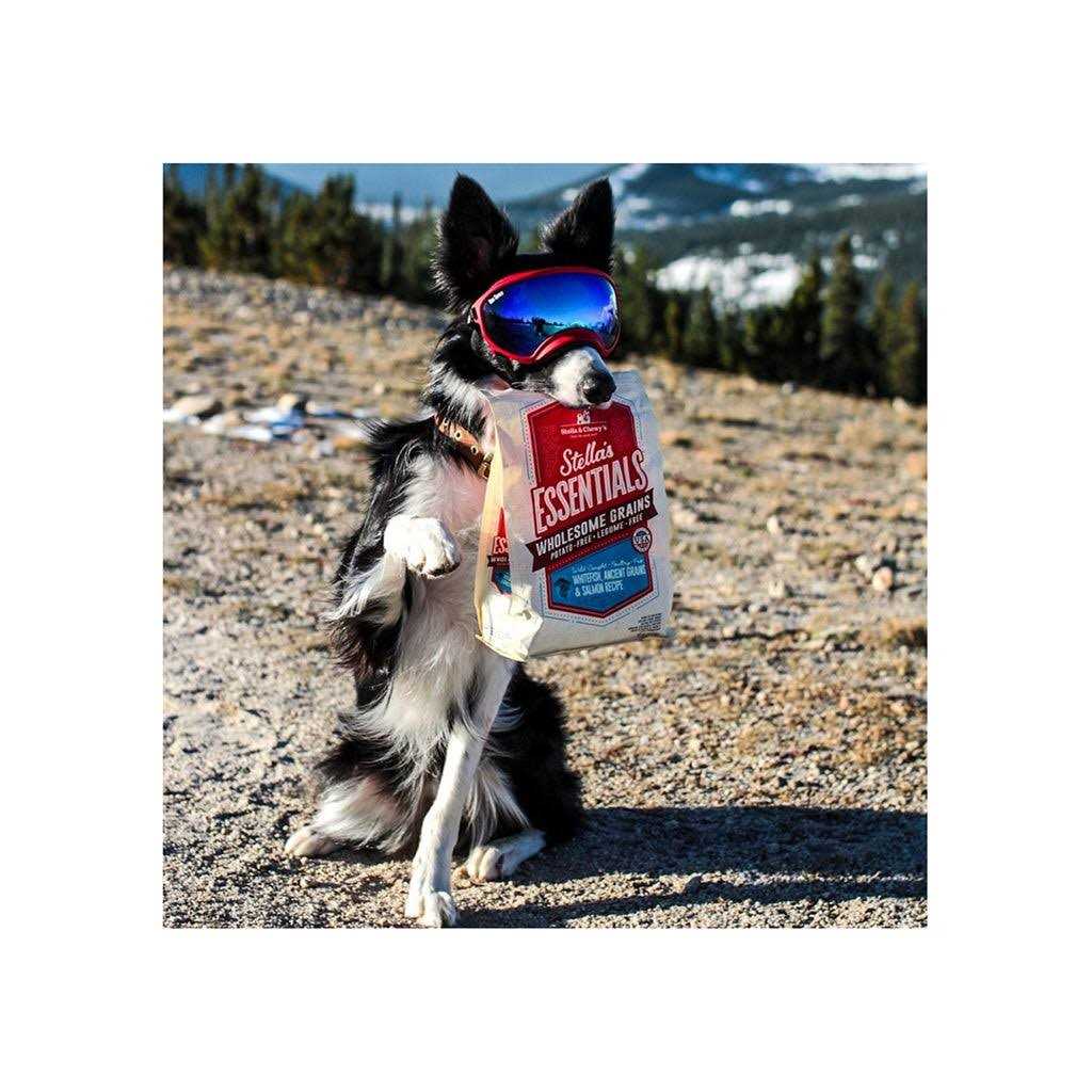 Ancient Grains Recipe Dog Food H1129