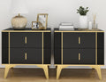 Black Nightstand Set of 2 with 2 Wood Drawers F861447