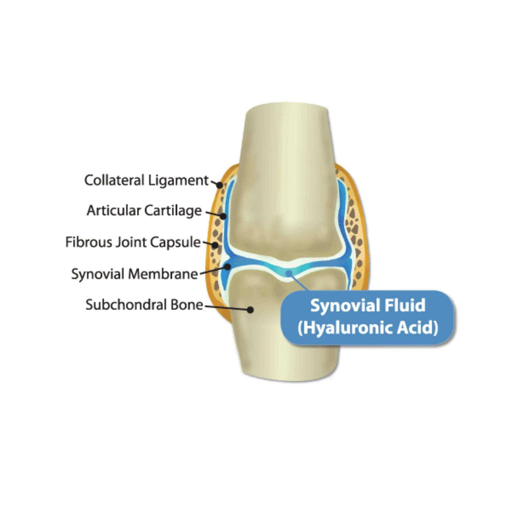 HyaFlex Pro Complete Joint Care T70840