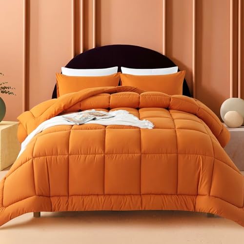 Black Lightweight Queen Size 3 Pieces Down Alternative Comforter Set with 2 Pillowcases C49867