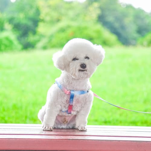 Pink-Purple Gradient Step in Dog Harness with Leash S8586