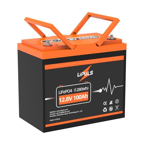12.8V 100Ah LiFePO4 Battery with Built-in 100A BMS J4599