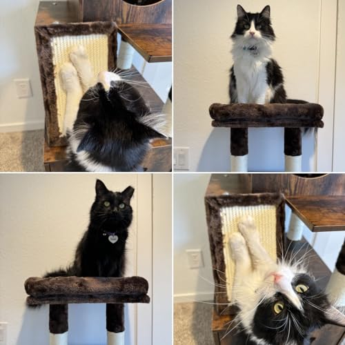 Cat Tree with Litter Box Enclosure and Scratching Post G639908