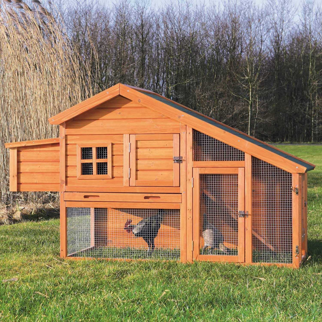 Chicken Coop E5722
