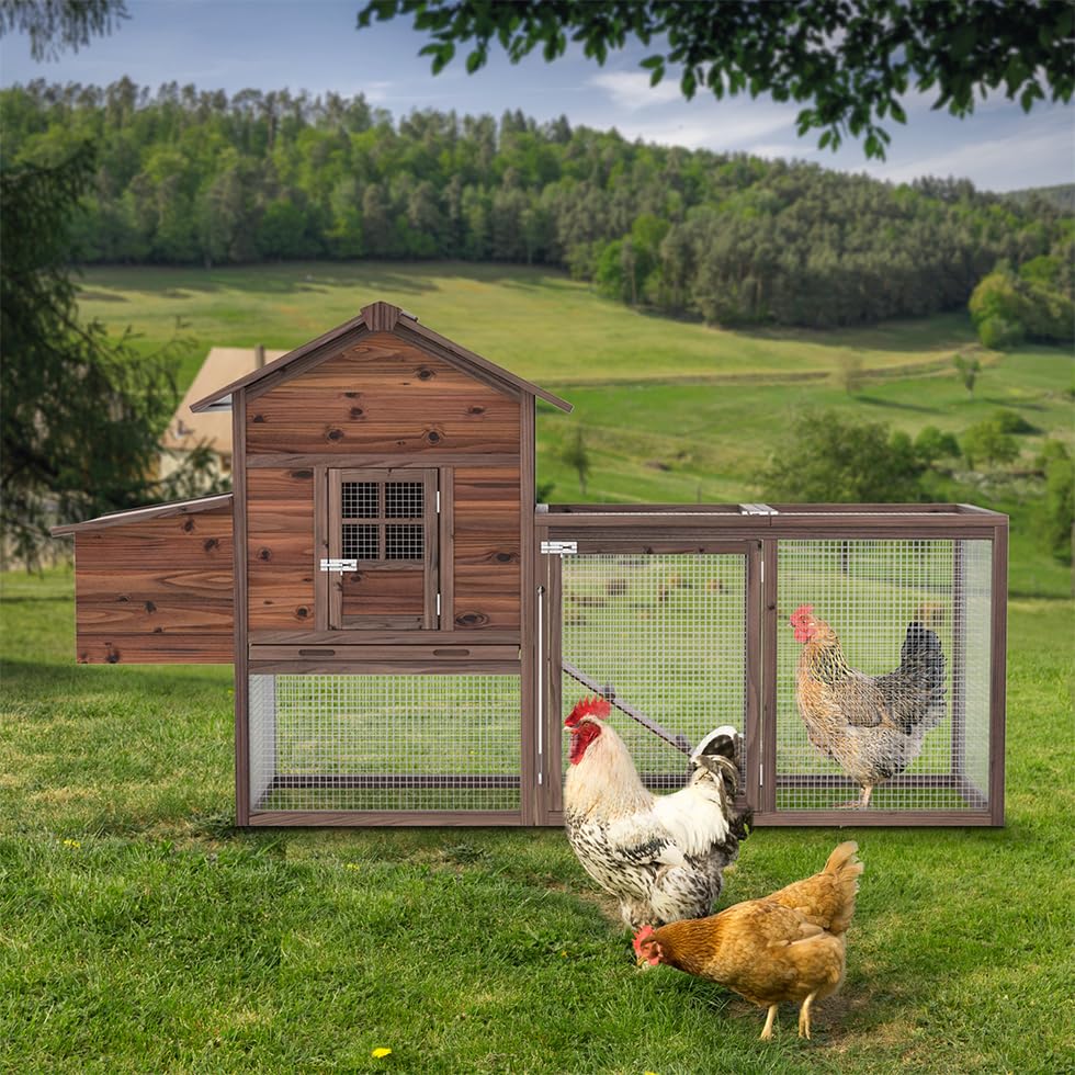Large Wooden Chicken Coop with Nesting Boxes R4429