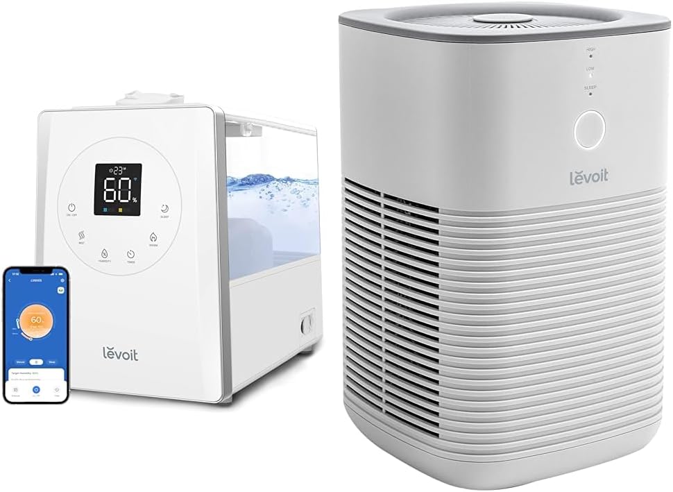 Smart Warm and Cool Mist Humidifier with HEPA Filter R862