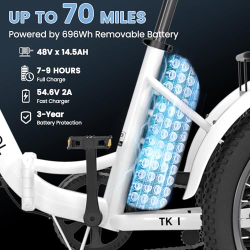 Folding Electric Tricycle with Aluminum Frame and Removable Battery B2061