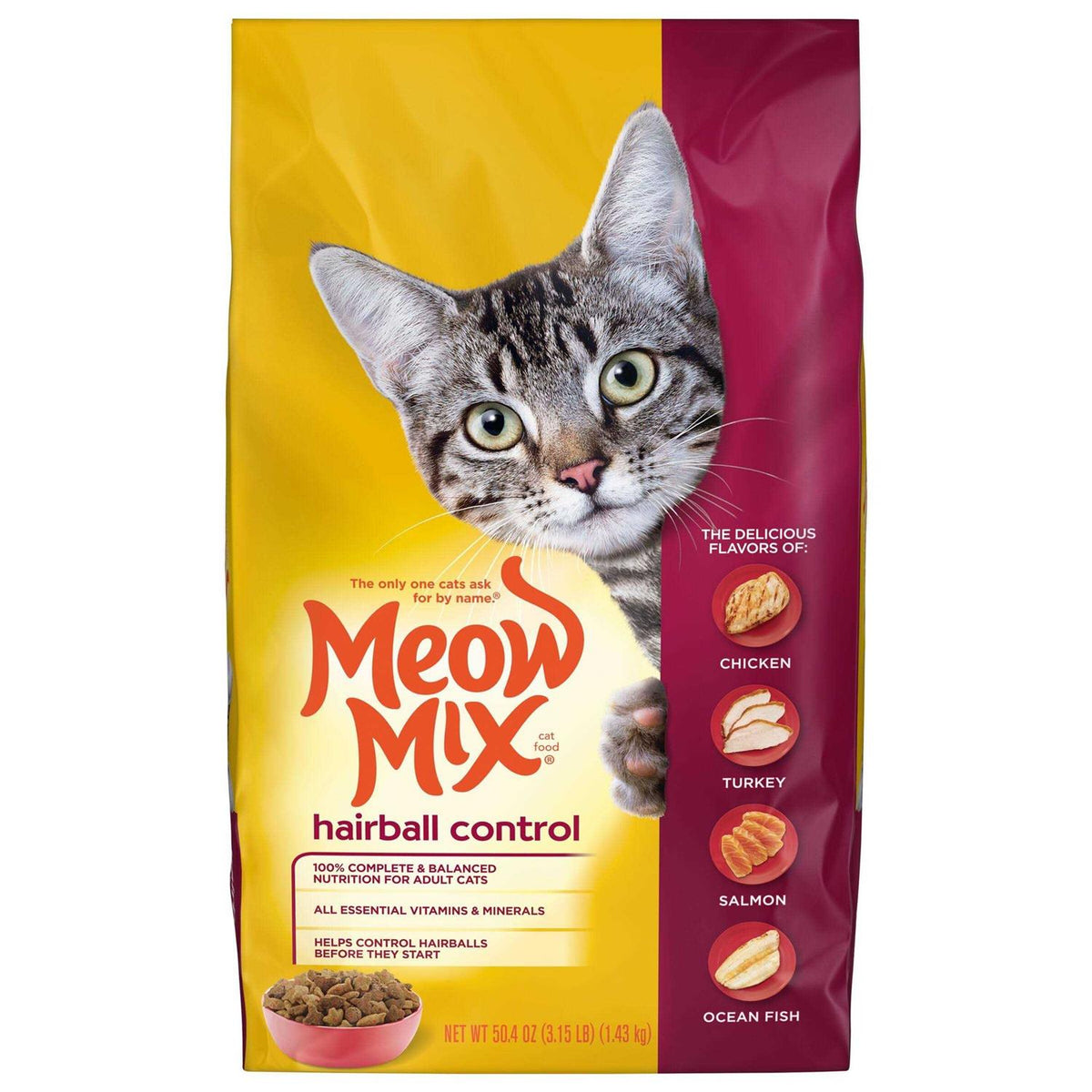 Hairball Control Dry Cat Food B8343
