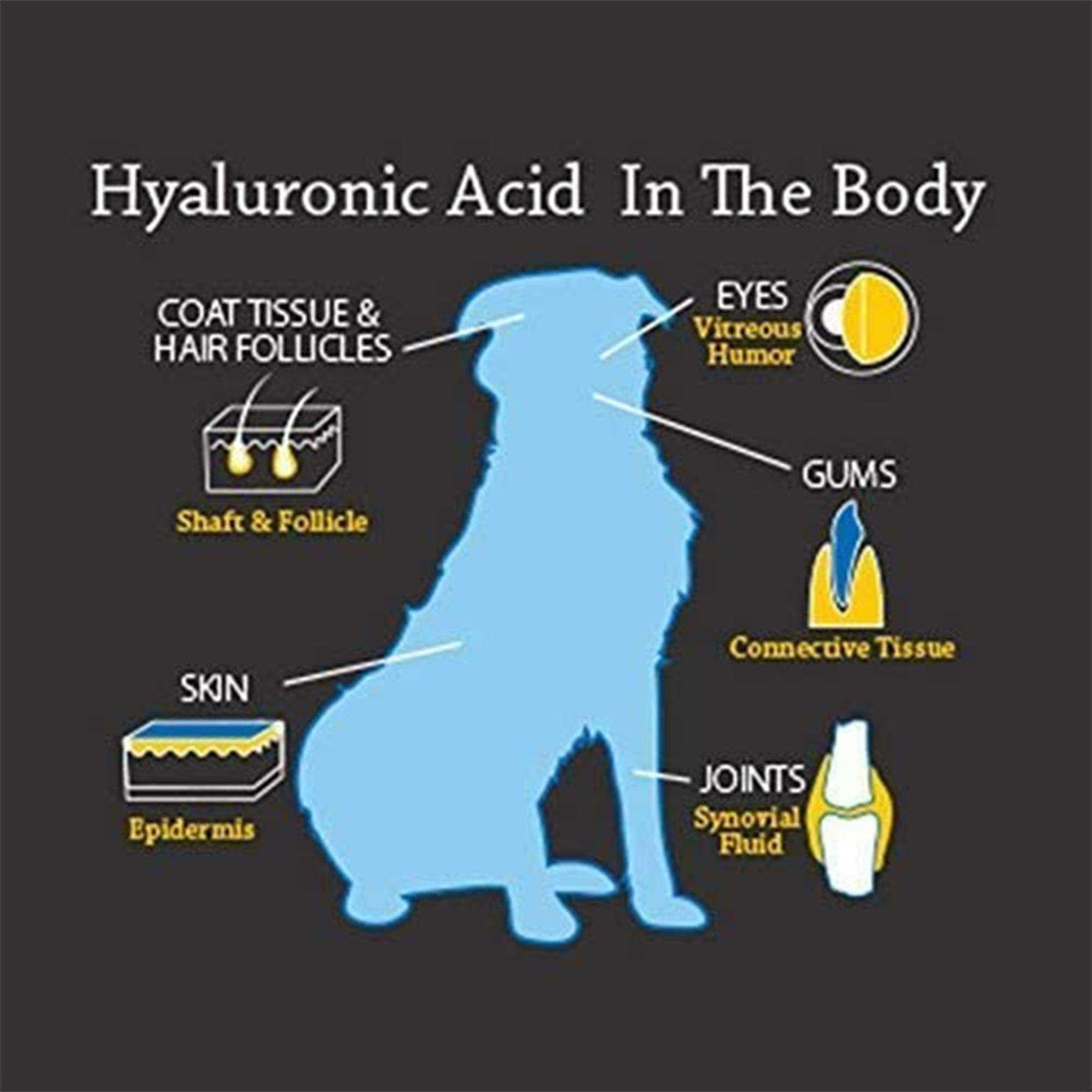HyaFlex Pro Complete Joint Care T70840