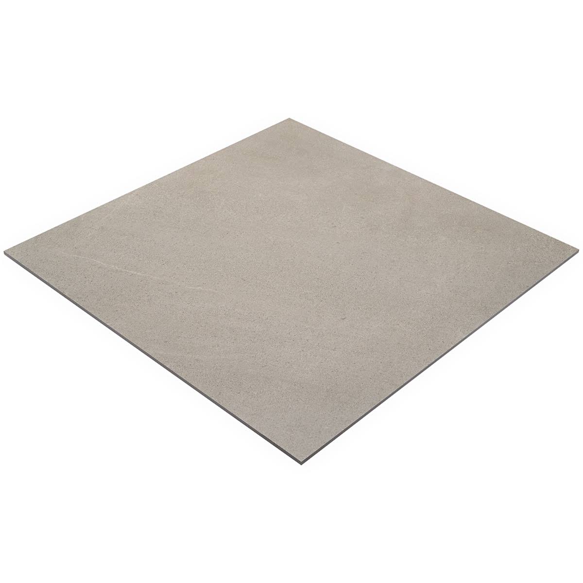 Matte Porcelain Floor and Wall Tile (2 pieces/17.43 Sq. ft./Case) C222