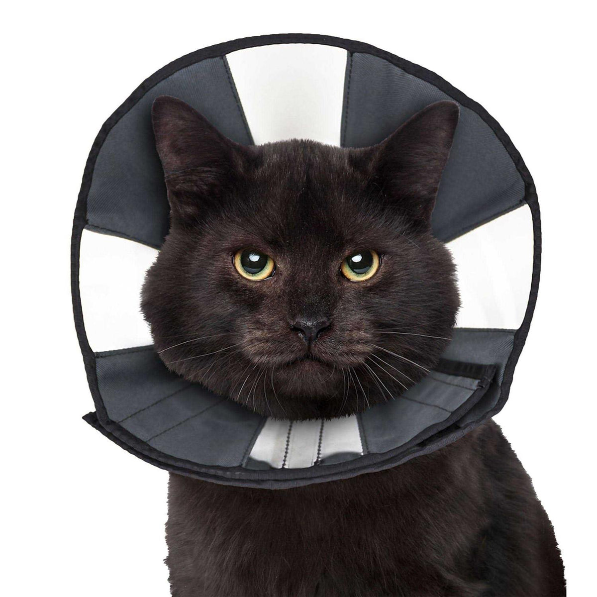 Soft Recovery Collar P689