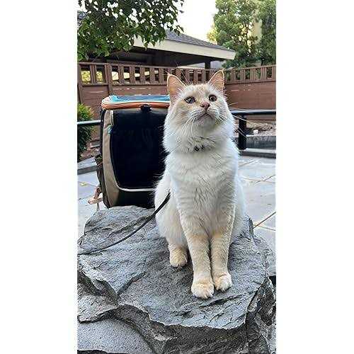 Convertible Cat Backpack R582340
