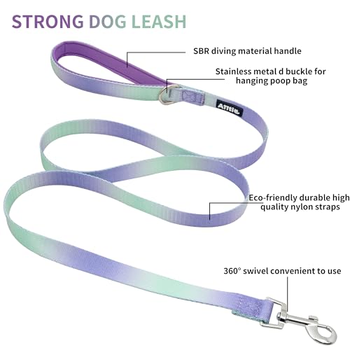 Pink-Purple Gradient Step in Dog Harness with Leash S8586