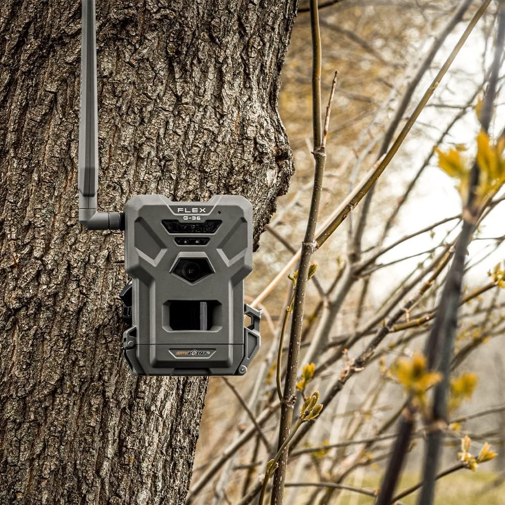 Twin Pack Cellular Trail Camera with 36MP Photos and 1080p Videos P462771