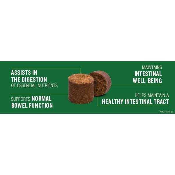 Probiotic Soft Chew Supplement for Dogs R744236