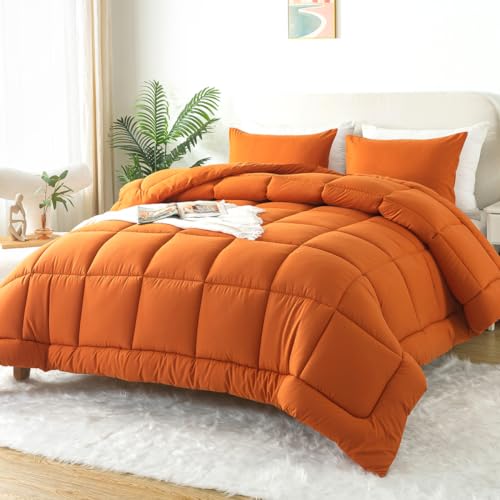Black Lightweight Queen Size 3 Pieces Down Alternative Comforter Set with 2 Pillowcases C49867