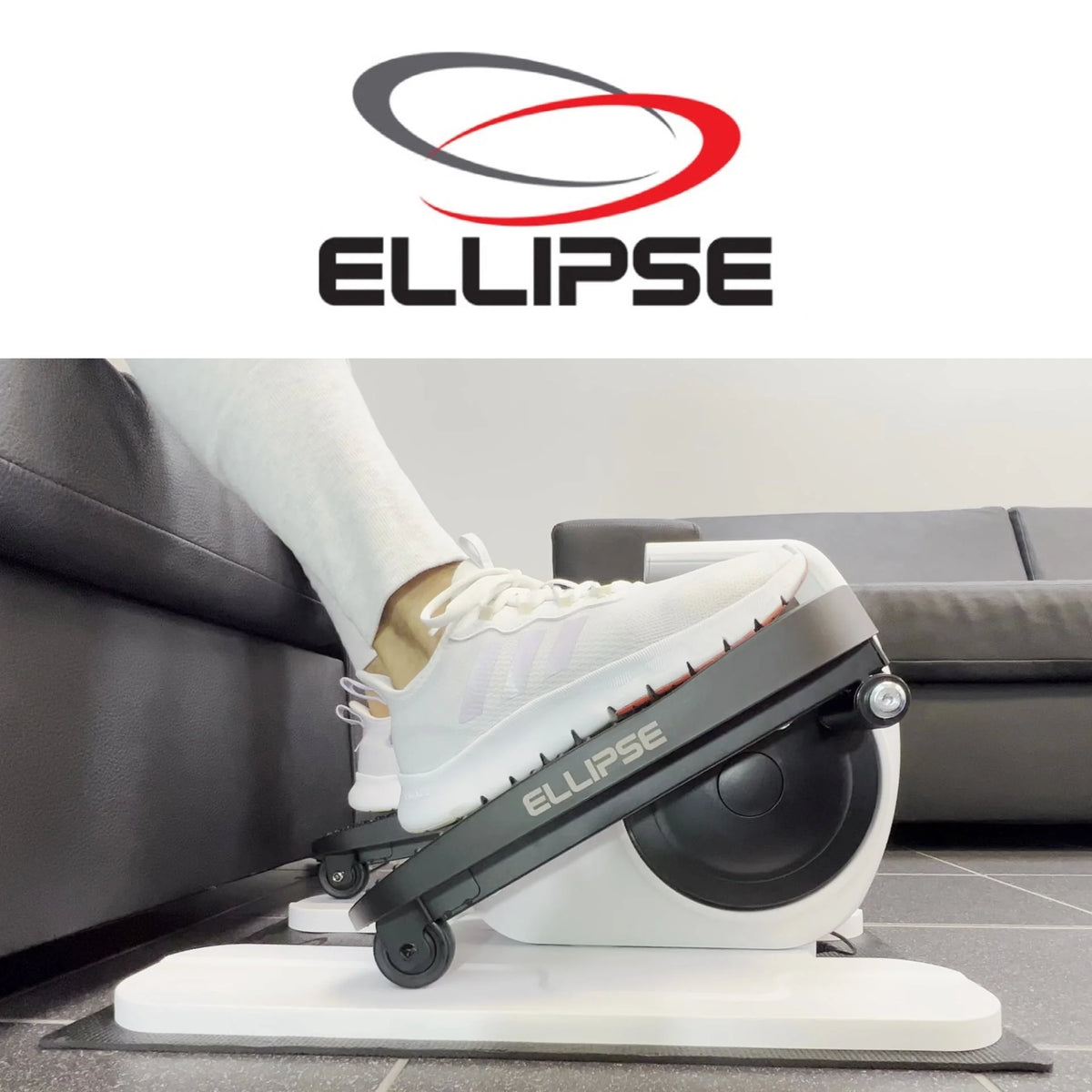 Ellipse O122340