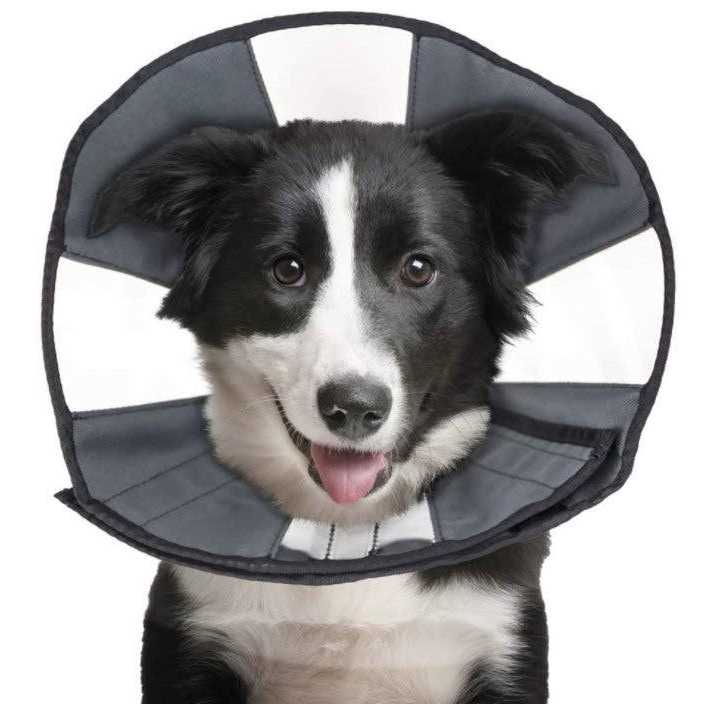 Soft Recovery Collar P689