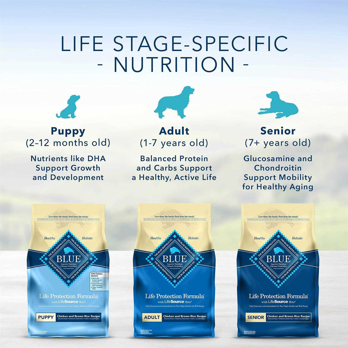 Chicken & Brown Rice Dry Puppy Dog Food S553342