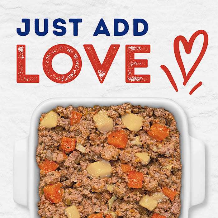 Natural Balance Platefulls Tender Beef & Potato Recipe Wet Dog Food W873501