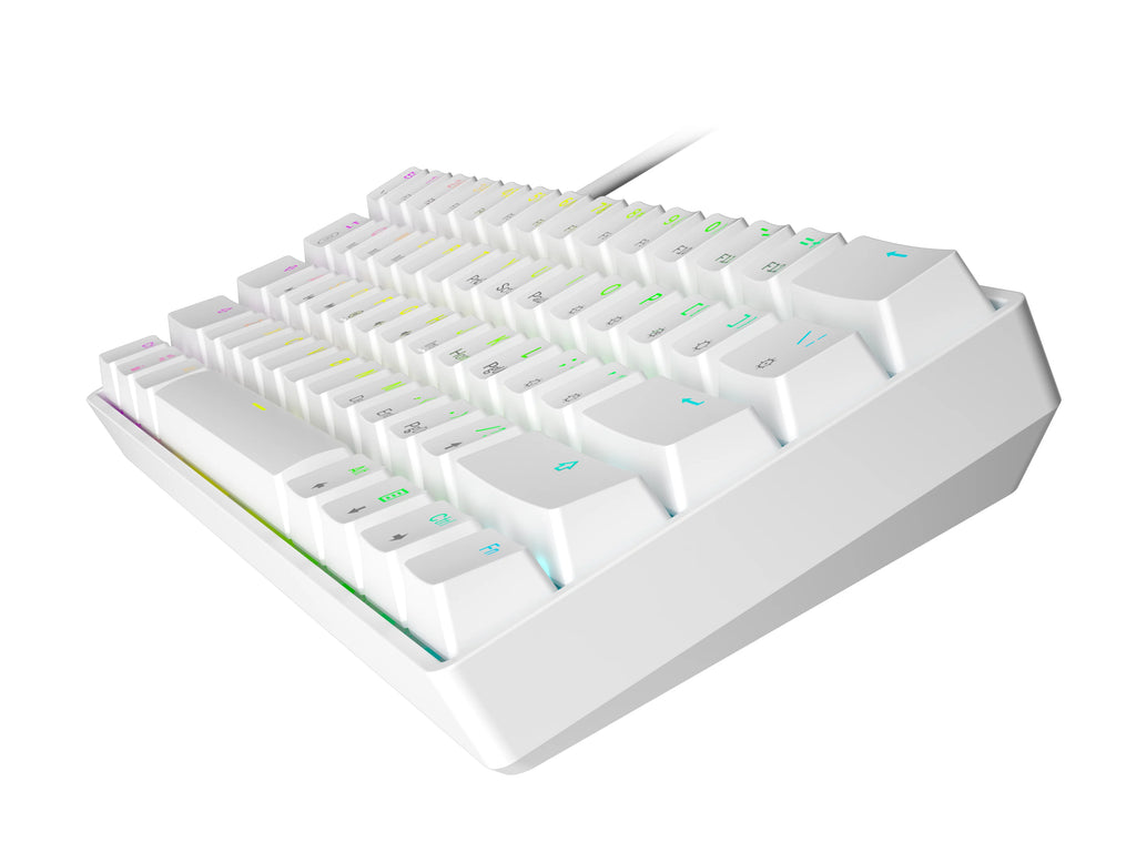 White Gateron Optical Black 61 Keys RGB Mechanical Keyboard F337302