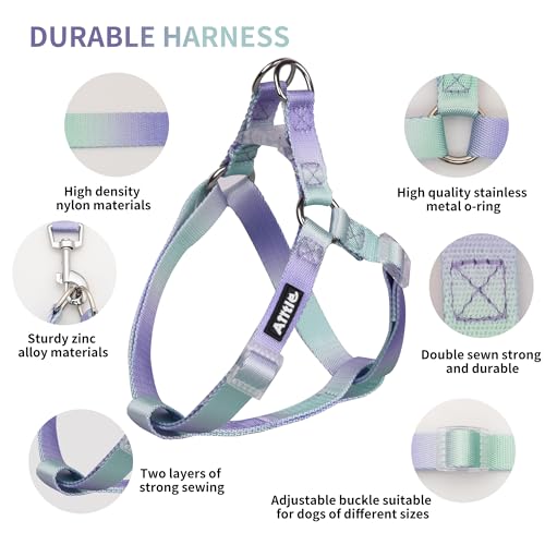Pink-Purple Gradient Step in Dog Harness with Leash S8586