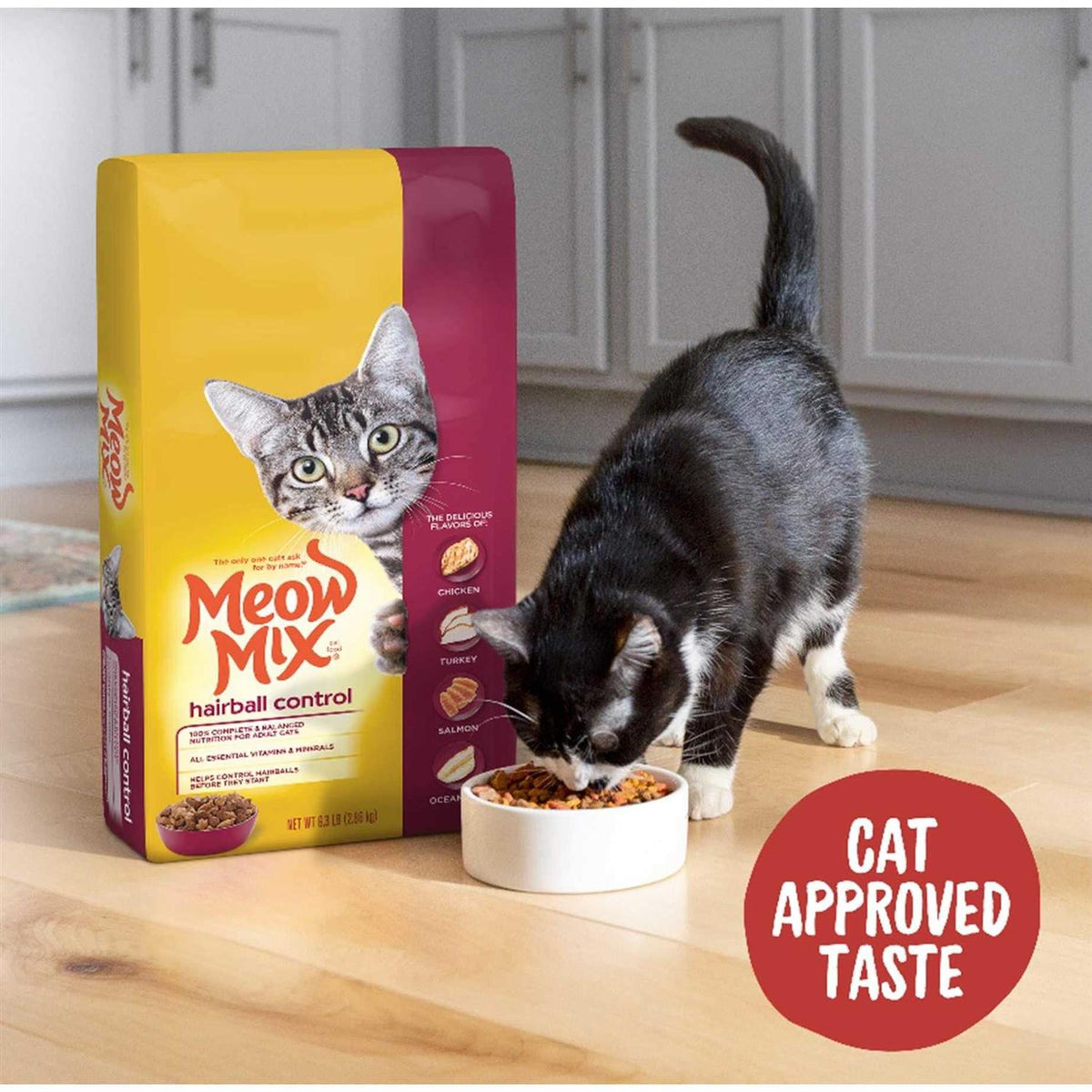 Hairball Control Dry Cat Food B8343