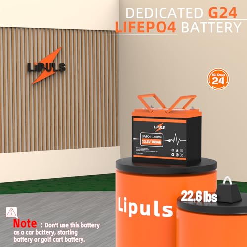 12.8V 100Ah LiFePO4 Battery with Built-in 100A BMS J4599