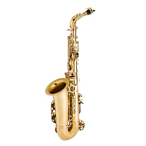 Student Alto Saxophone Bundle S59416