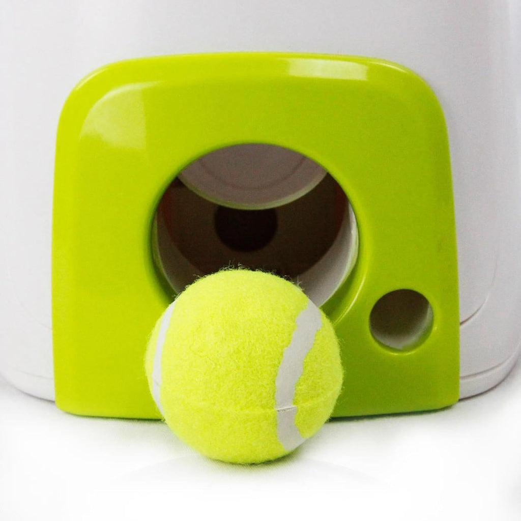 Interactive Slow Feeding Dog Toy K472996