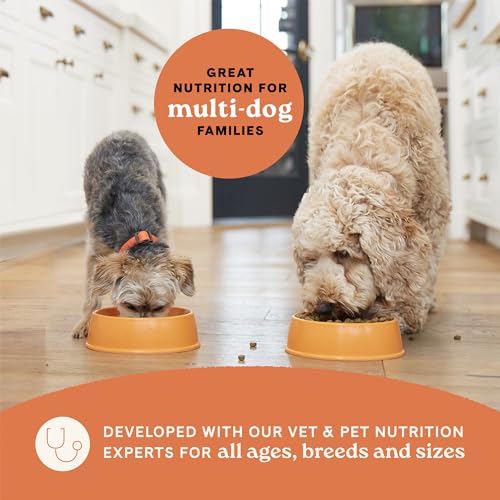 40 lbs Multi-Protein Dry Dog Food with Chicken, Turkey & Lamb Meals O20014