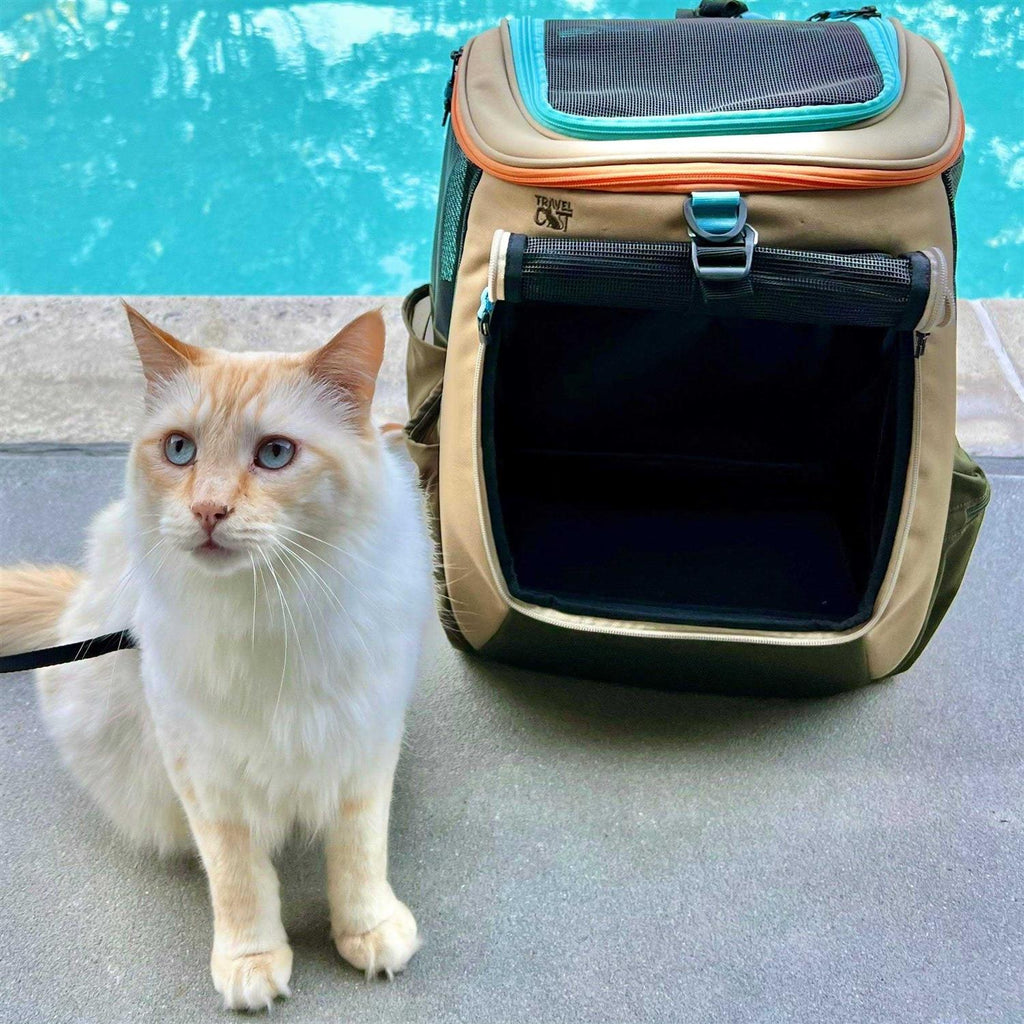 Convertible Cat Backpack R582340
