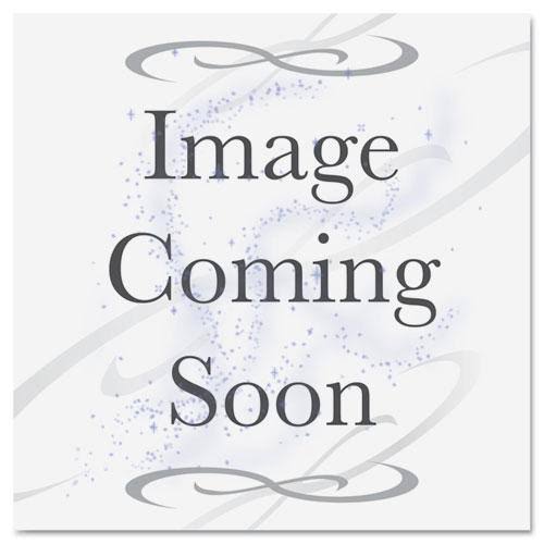 800-bag Disinfectant Wipes X640