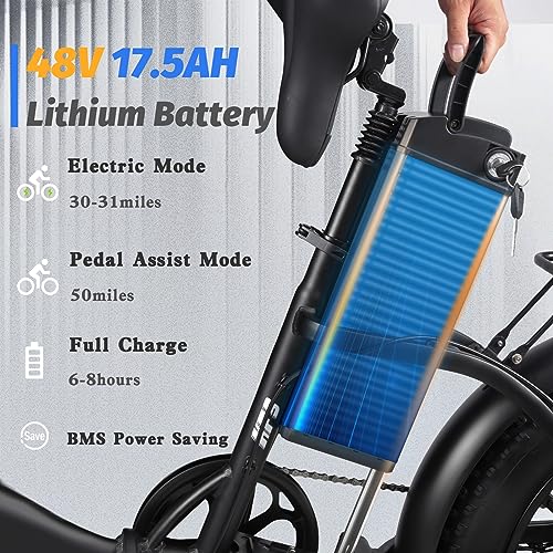 1000W Folding Electric Bike with Removable Battery Fat Tire I373192