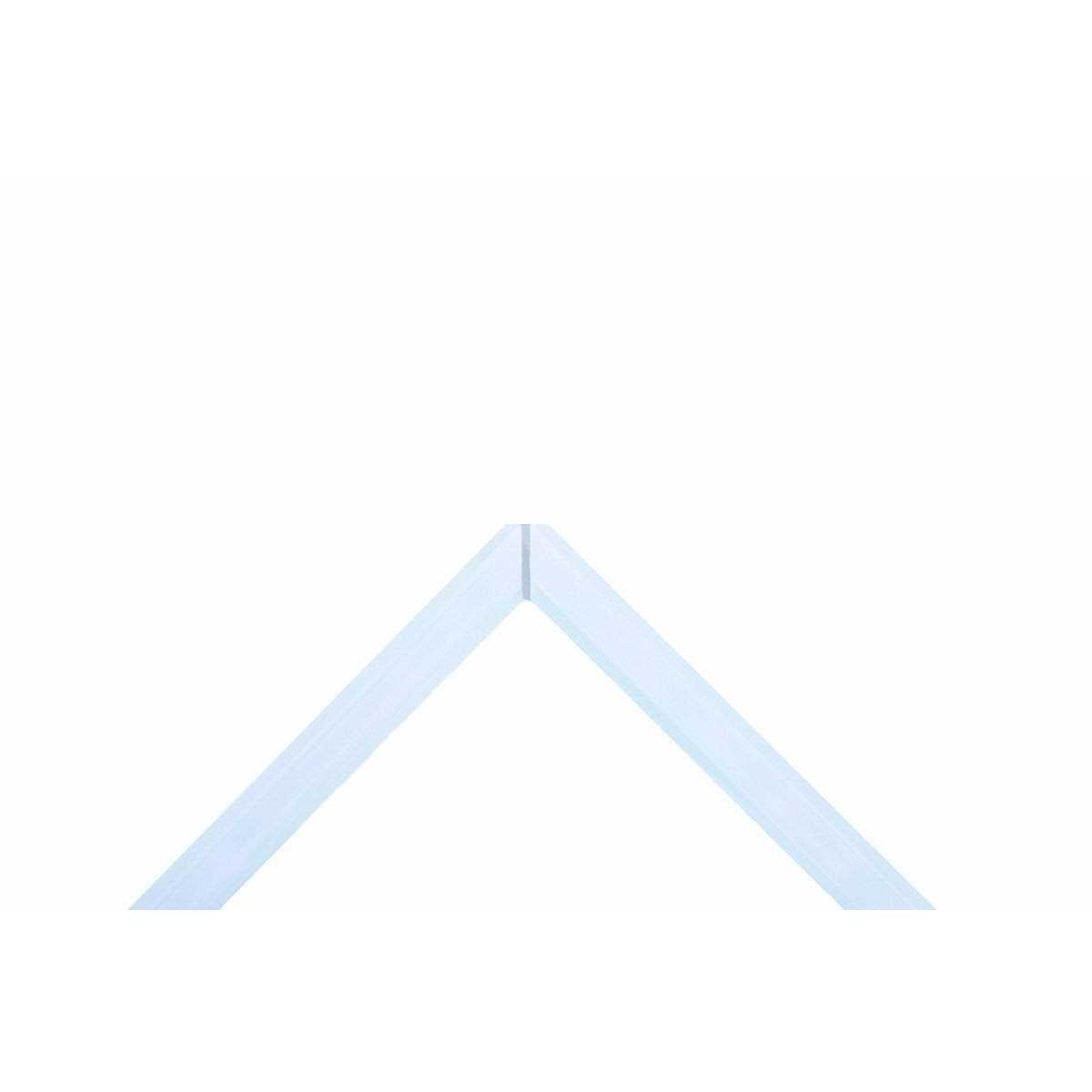 20 Gallon Ultra Clear Rimless Aquarium U130738