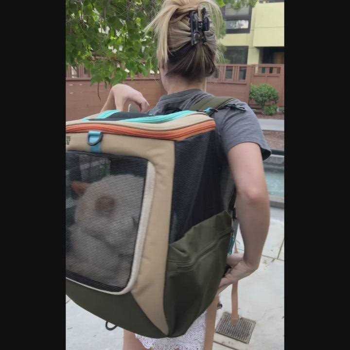 Convertible Cat Backpack R582340