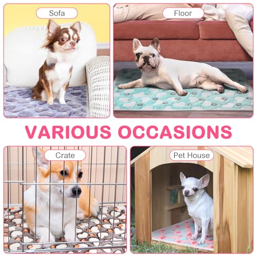 4 Pack Self Warming Cat Bed with Removable Cover, 16 x 20 Inches E13750