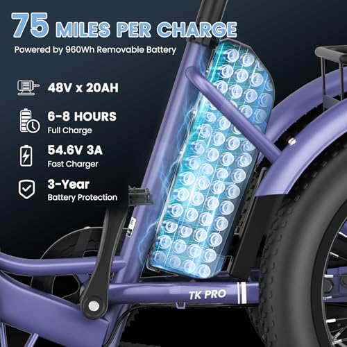 Folding Electric Tricycle with Aluminum Frame and Removable Battery B2061