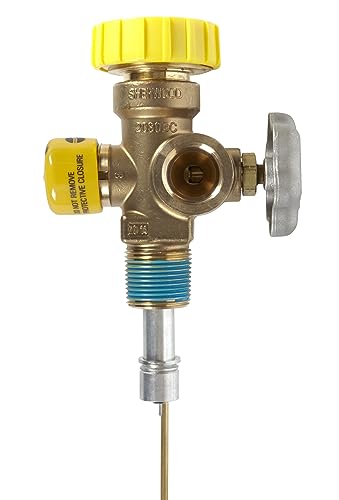 100 lb. - 200 lb. Propane POL Multi Service Valve B299055