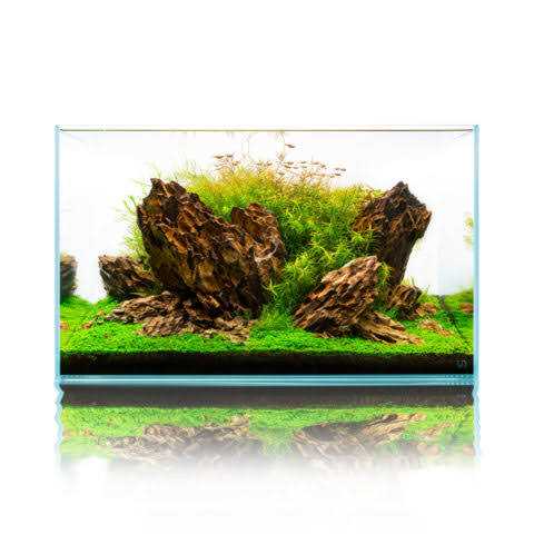20 Gallon Ultra Clear Rimless Aquarium U130738