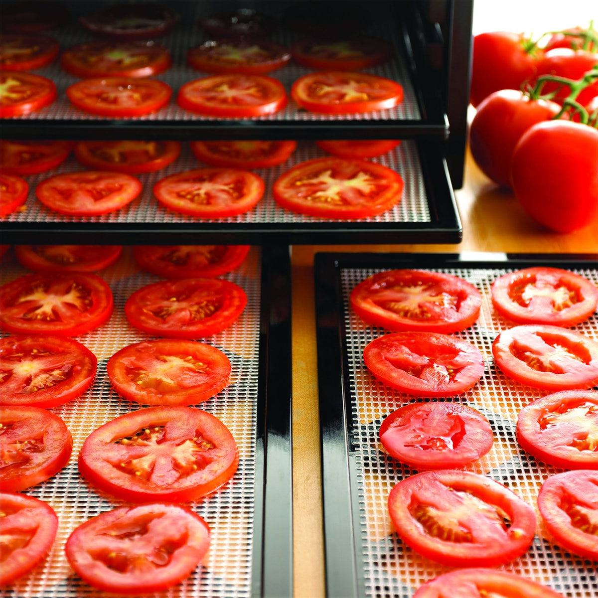 9-Tray Food Dehydrator with Adjustable Thermostat F5279